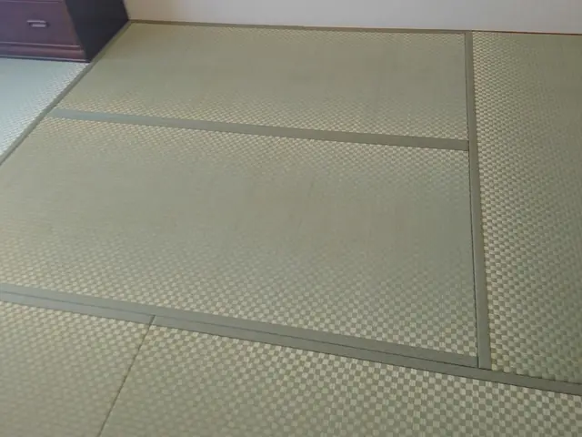 作業日11/13〜【家具移動一切不要】手作業での技術力に自信！畳張替は流生畳店へサービスの画像