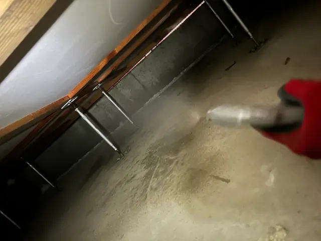 ムカデ・ヤスデ駆除【対応地域外も相談OK】100％自社対応◎サービスの画像