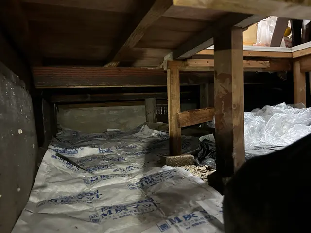 ムカデ・ヤスデ駆除【対応地域外も相談OK】100％自社対応◎サービスの画像