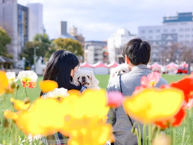 【満足度★5つ】専業カメラマン出張！いつもと一味、違う記念写真をご体験下さい☆彡