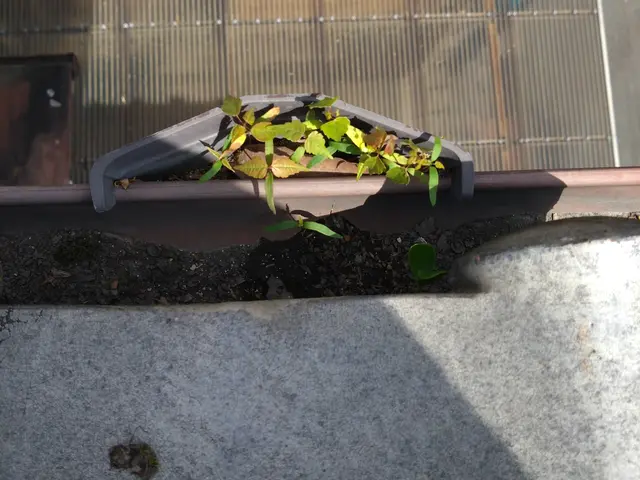 【年中無休】お気軽にご相談ください！ご相談、お見積りはもちろん無料です！サービスの画像