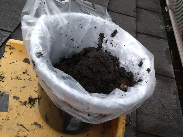 【年中無休】お気軽にご相談ください！ご相談、お見積りはもちろん無料です！サービスの画像