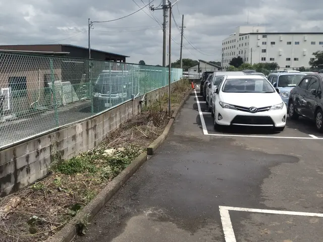 【業歴40年二代目店長】お庭と植木に合わせたお手入れとアドバイスいたしますサービスの画像