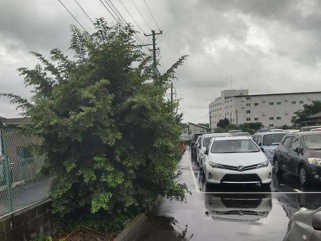 【業歴40年二代目店長】お庭と植木に合わせたお手入れとアドバイスいたしますサービスの画像