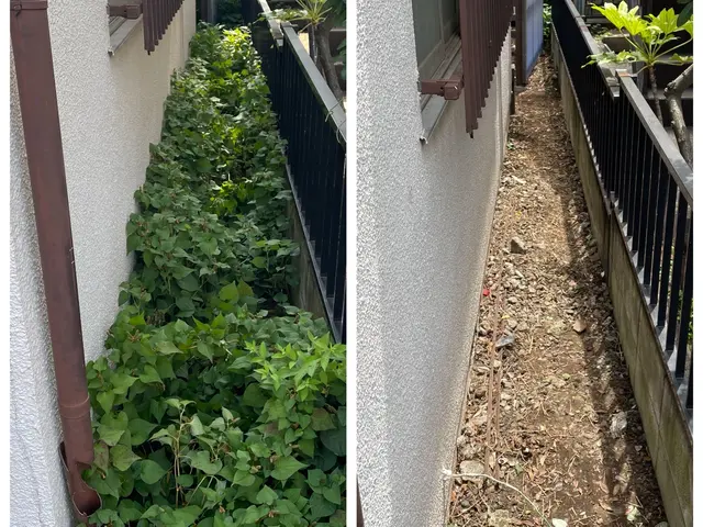 明るいお庭作り♪ お庭の事ならお任せください。まずはお気軽にご相談ください^ ^サービスの画像