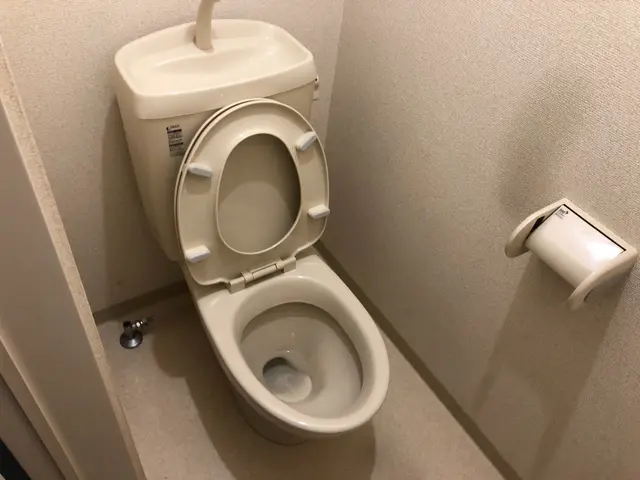 天然素材を使ったクリーニング◎ウォシュレット分解洗浄も対応可能！（オプション）サービスの画像