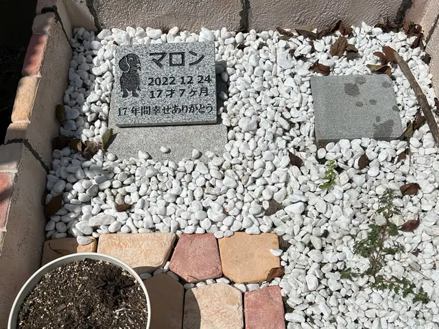 野田市発！【千葉県　茨城県　埼玉県】墓石クリーニング承ります！サービスの画像