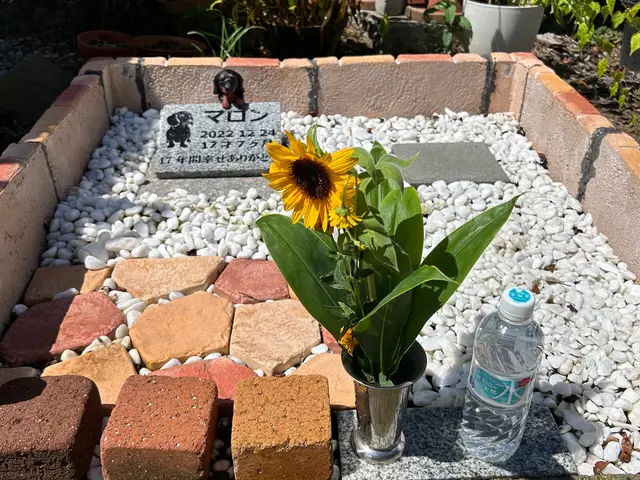 野田市発！【千葉県　茨城県　埼玉県】墓石クリーニング承ります！サービスの画像