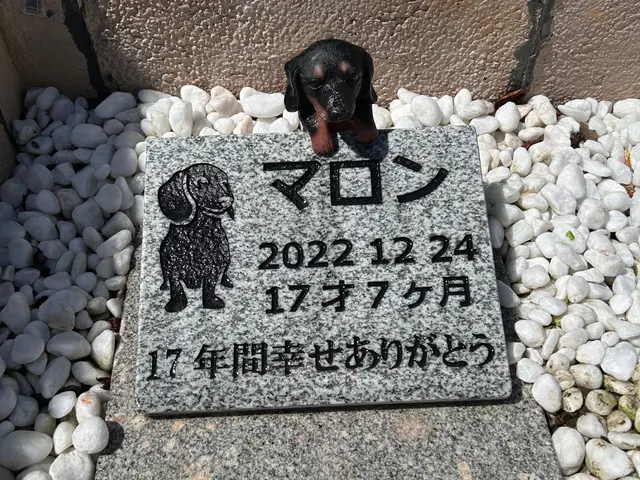 野田市発！【千葉県　茨城県　埼玉県】墓石クリーニング承ります！サービスの画像