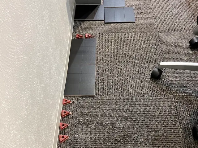 ネズミを徹底駆除し安心できる住環境を提供サービスの画像