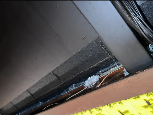 ネズミを徹底駆除し安心できる住環境を提供サービスの画像