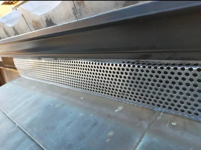 ネズミを徹底駆除し安心できる住環境を提供サービスの画像