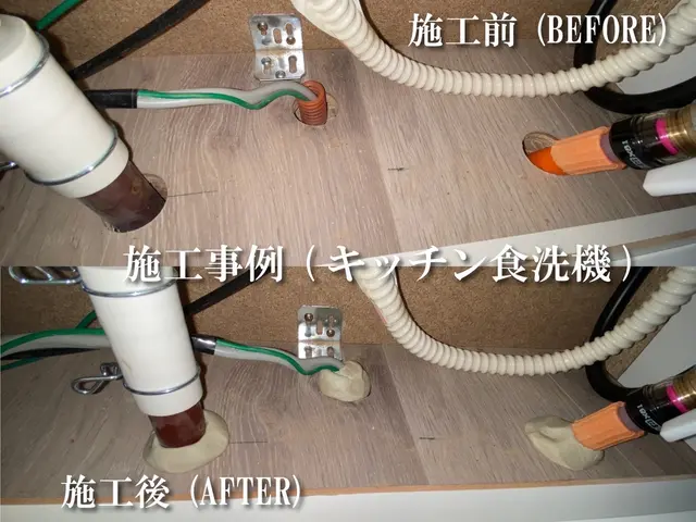 引越し前対策推奨●即日/24h対応可●建物の構造から虫の侵入を防ぐ●水回り封鎖込サービスの画像