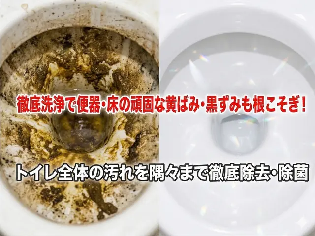 安心丁寧仕上げの徹底尿石除去トイレ清掃サービスサービスの画像