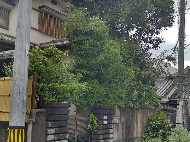 経験の中からお客様のお言葉とお庭に合ったお庭に仕上げますサービスの画像