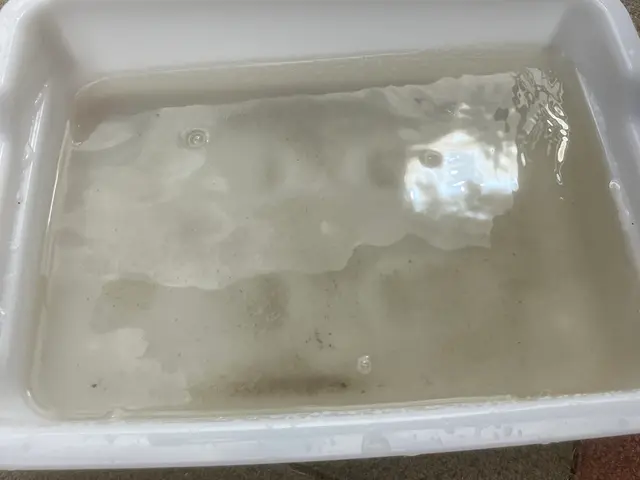 空気を変える。エアコンの空気改善。エバポレーターを徹底洗浄致します。サービスの画像