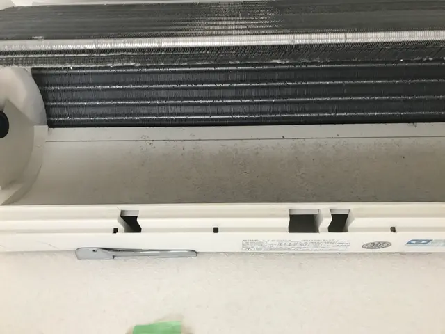 送風ファンドレンパンを取り外して裏側の酷いカビ汚れも徹底洗浄！サービスの画像