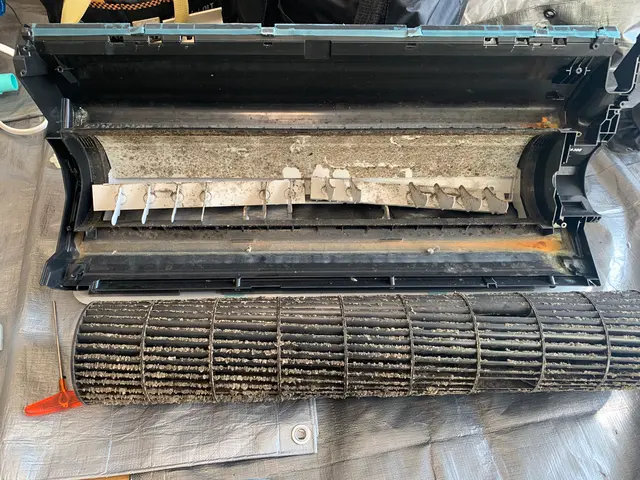 送風ファンドレンパンを取り外して裏側の酷いカビ汚れも徹底洗浄！サービスの画像