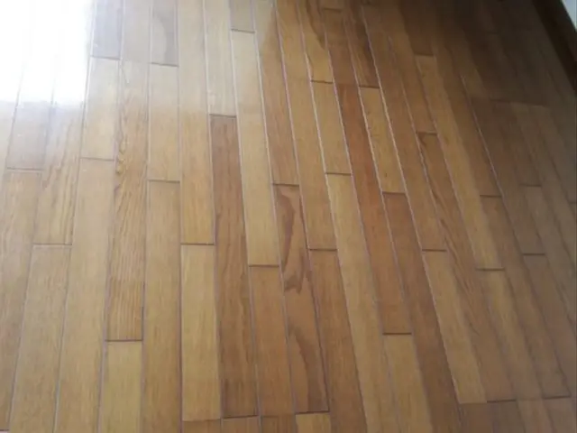 ハウスバスターお困りセンター　ピカピカキレイサービスの画像