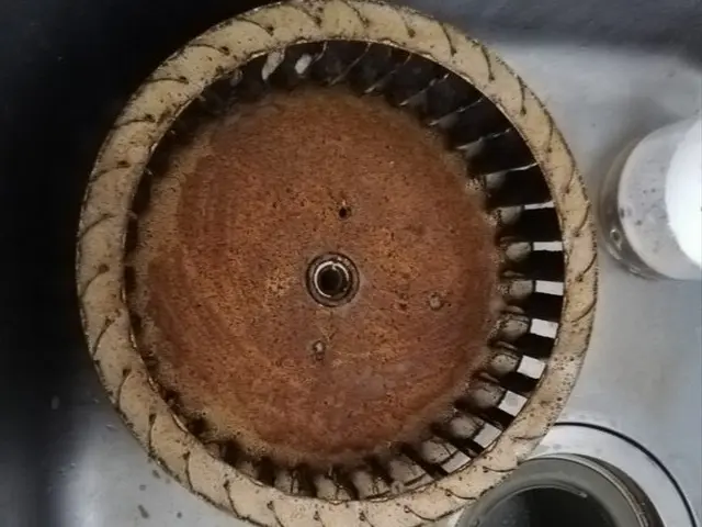 ハウスバスターお困りセンター　ピカピカキレイサービスの画像