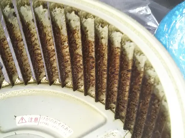 快適空間！交通費含む！忙しい奥様！親切丁寧にお掃除を致します！サービスの画像