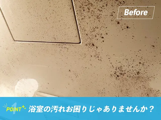 ✧₊お風呂リニューアル気分✧₊水アカ・カビを“徹底除去で浴室リセット！サービスの画像