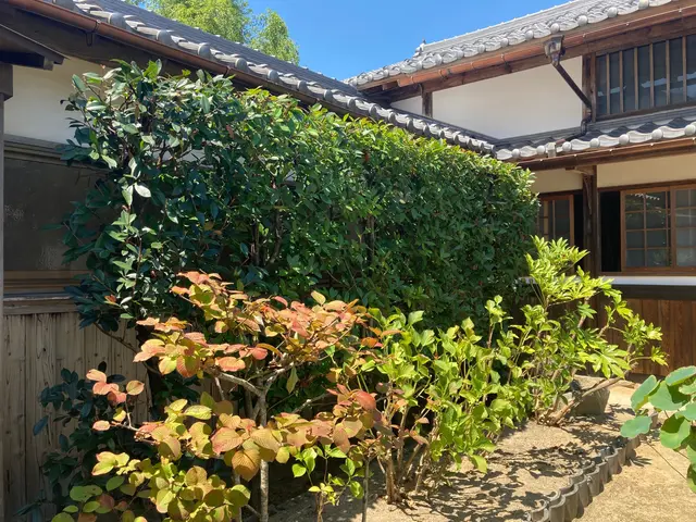 一本一本、丁寧に。自然で美しい仕上がりをお約束します▼お気軽にご相談ください♪サービスの画像