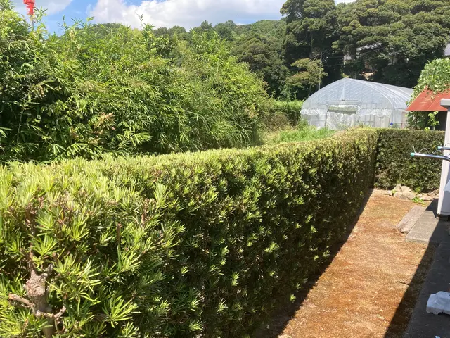 一本一本、丁寧に。自然で美しい仕上がりをお約束します▼お気軽にご相談ください♪サービスの画像