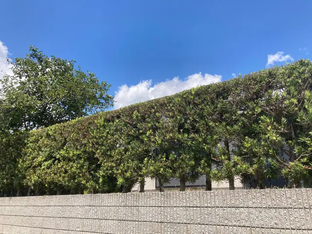 一本一本、丁寧に。自然で美しい仕上がりをお約束します▼お気軽にご相談ください♪サービスの画像