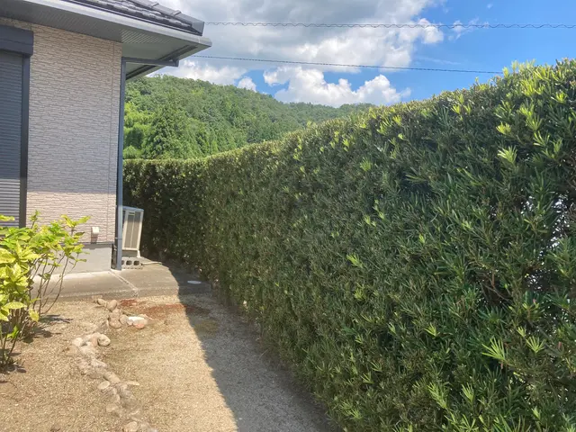 一本一本、丁寧に。自然で美しい仕上がりをお約束します▼お気軽にご相談ください♪サービスの画像