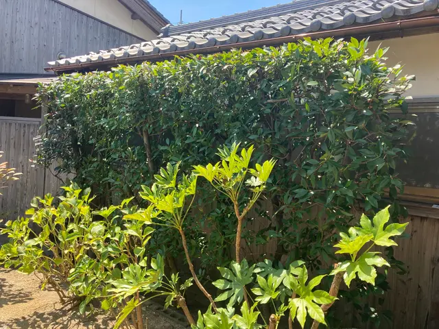 一本一本、丁寧に。自然で美しい仕上がりをお約束します▼お気軽にご相談ください♪サービスの画像