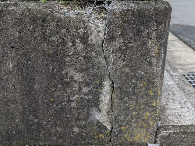 お見積り無料！まずはお気軽にお問い合せ下さい。サービスの画像