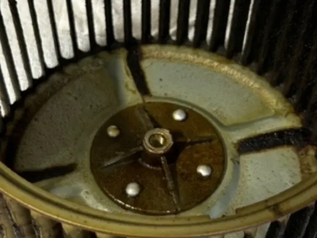 専用の業務用洗剤でピカピカに。作業外注一切なし^^サービスの画像