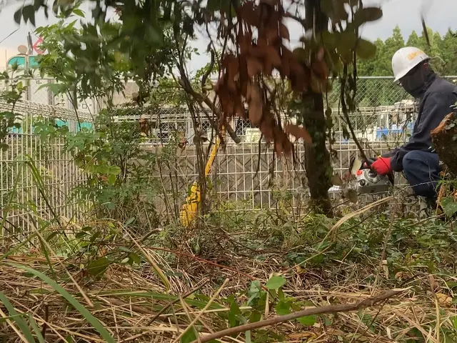 お庭の伐採！草刈り！サービスの画像