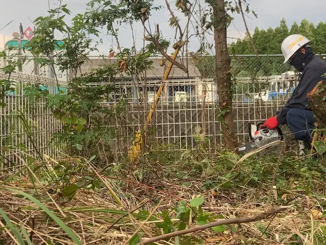 お庭の伐採！草刈り！サービスの画像