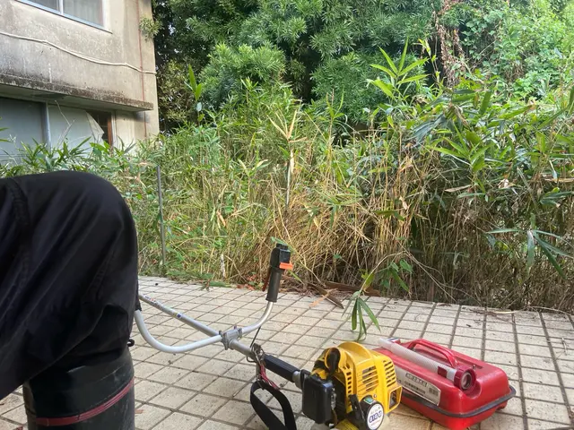 お庭の伐採！草刈り！サービスの画像