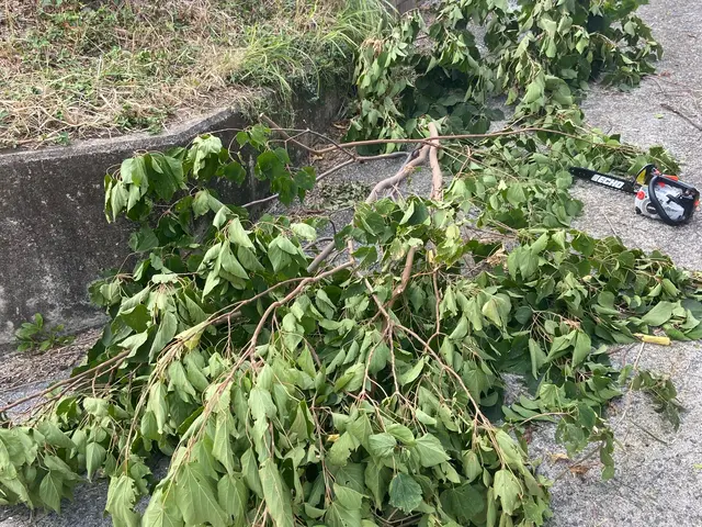 お庭の伐採！草刈り！サービスの画像