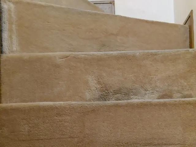 アルカリイオン水　ポリッシャー　リンサー　目立て　乾燥　お任せ下さいサービスの画像