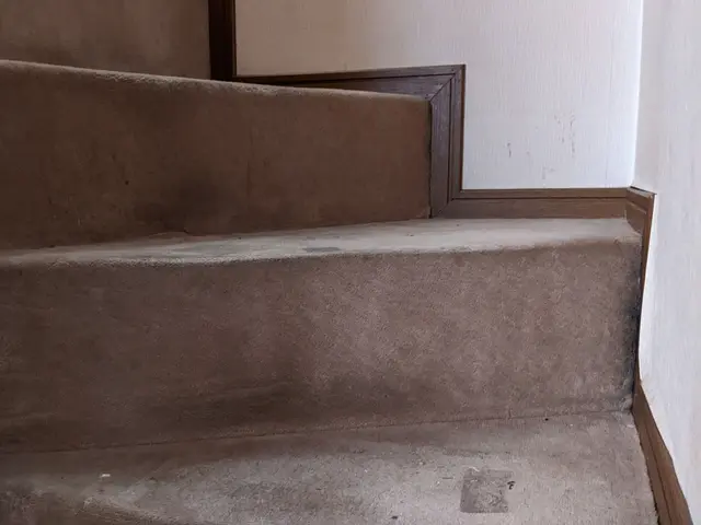 アルカリイオン水　ポリッシャー　リンサー　目立て　乾燥　お任せ下さいサービスの画像