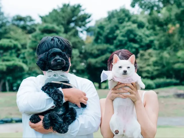 関西★カップル、ウェディング等出張撮影致します