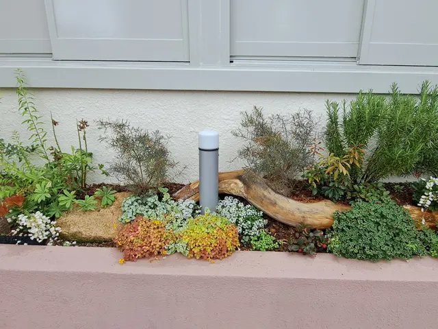 植栽でお庭にお洒落な空間を作ってみませんか？お見積り無料。サービスの画像