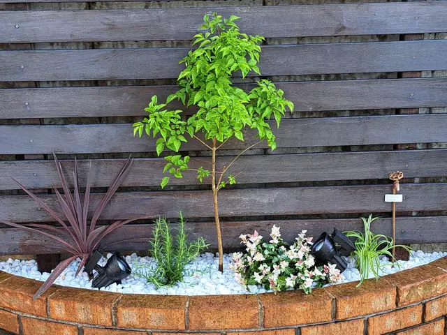 植栽でお庭にお洒落な空間を作ってみませんか？お見積り無料。サービスの画像