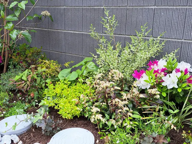 植栽でお庭にお洒落な空間を作ってみませんか？お見積り無料。サービスの画像