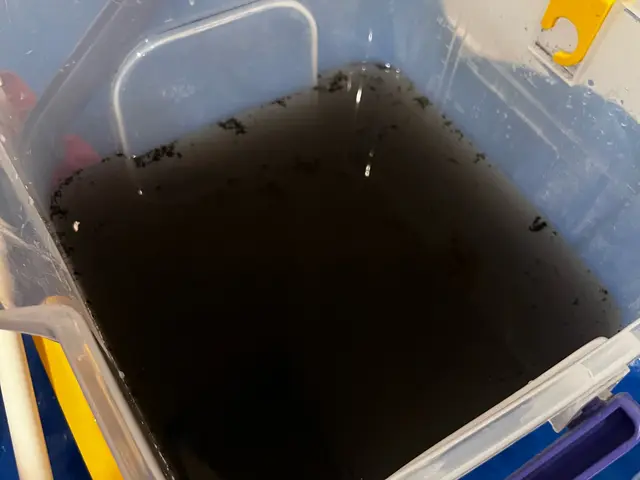 【現金申込特典】消臭・除菌抗菌コート無料★P代負担★赤ちゃん・ペットに優しい洗剤サービスの画像