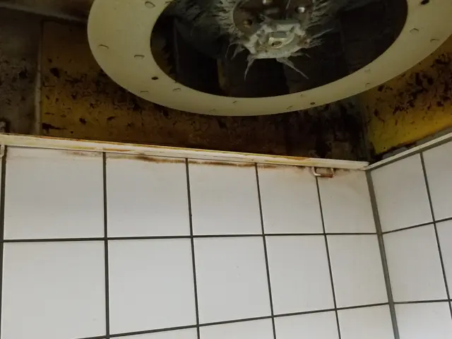 早割！<人気の2点セット>サービスの画像