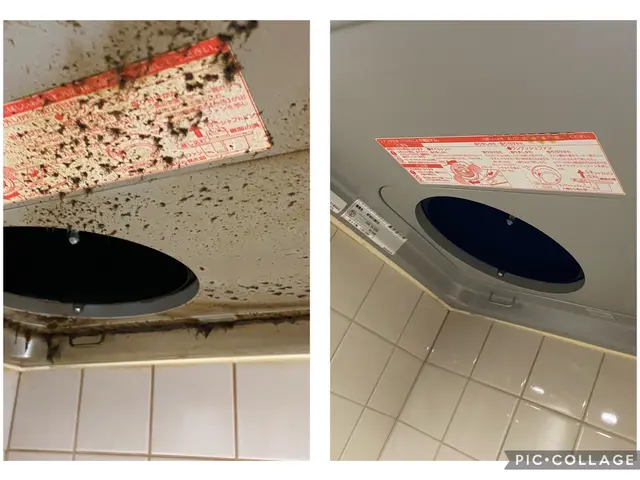 【コロナ対策】リピート率、満足度で表彰！1級資格！人気の浴室、換気扇セット割！サービスの画像