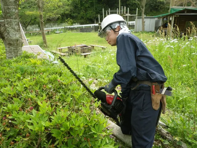 創業50年歴史ある造園業者(駐車場代店負担/女性スタッフ同行可/保険加入済)サービスの画像