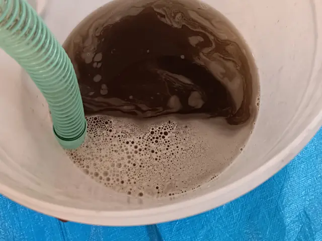 そのエアコン、最後に洗浄したのはいつですか？美味しい空気を提供しませんか？サービスの画像