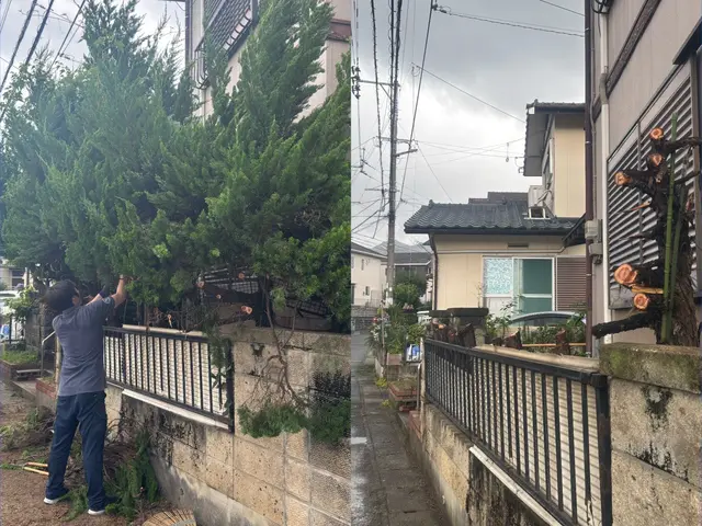 庭木の伐採サービスの画像