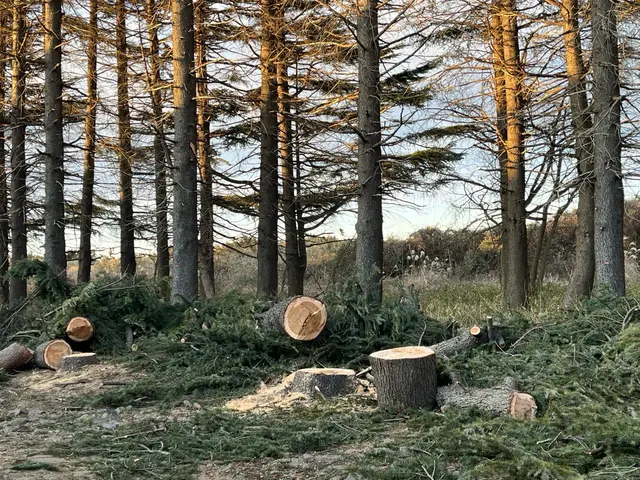 キャンペーン対象業種！1万円で1000円オフ4年の実績で1000件超！コスパ抜群サービスの画像